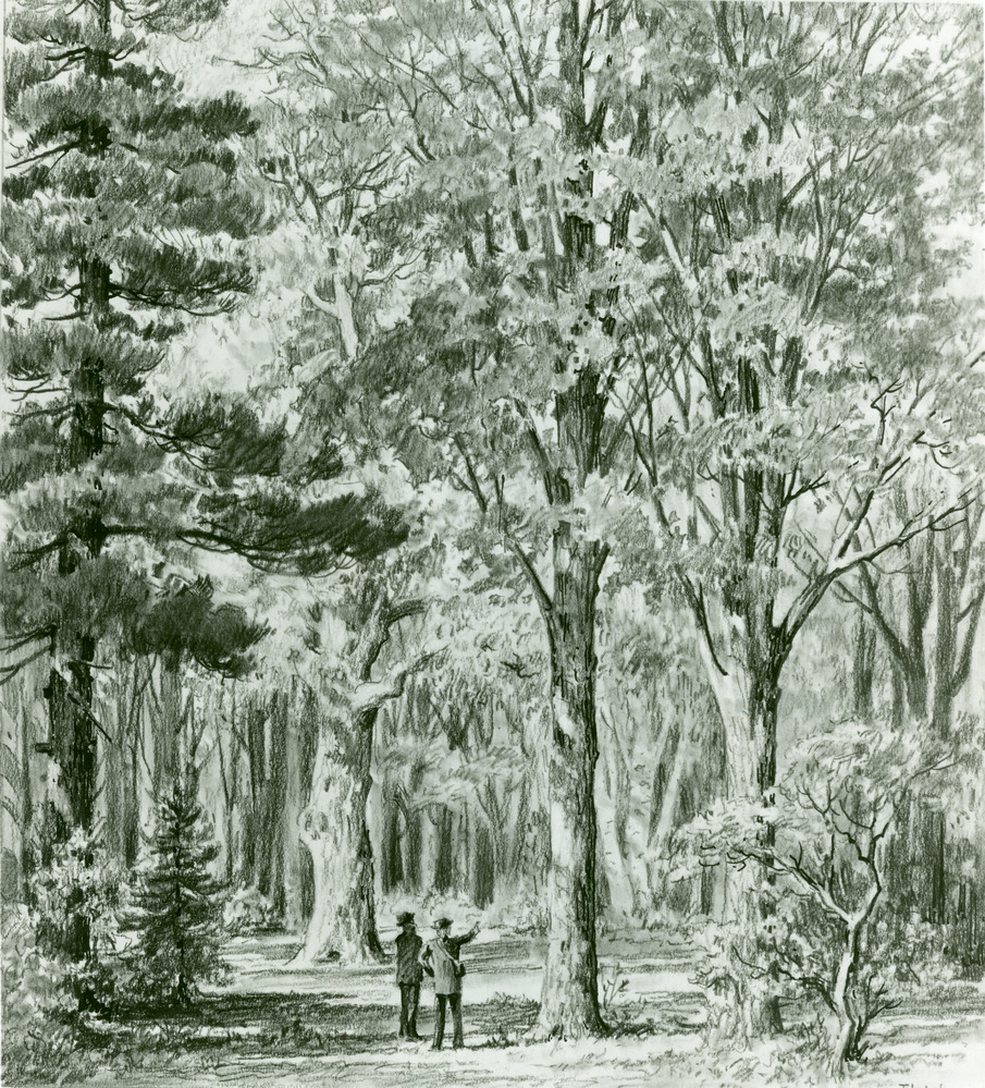 Gifford Pinchot Generational Giant of American Conservation Mossy Oak